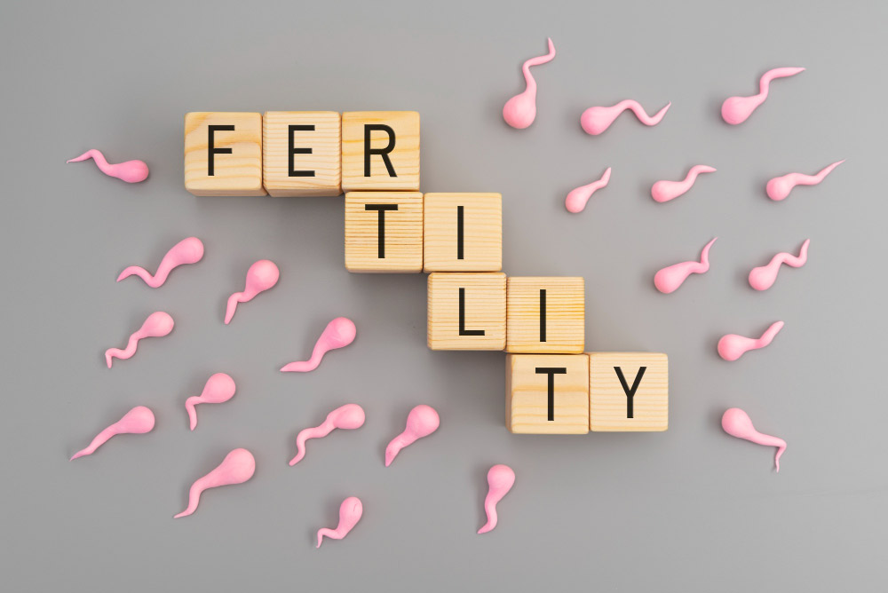 Best 10 Foods To Increase Fertility