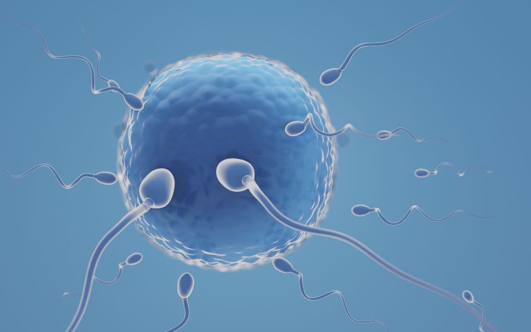 Unveiling the Connection: Sperm Quality and IVF Success